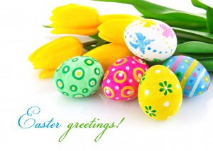 easter eggs with yellow tulip flowers isolated on white background