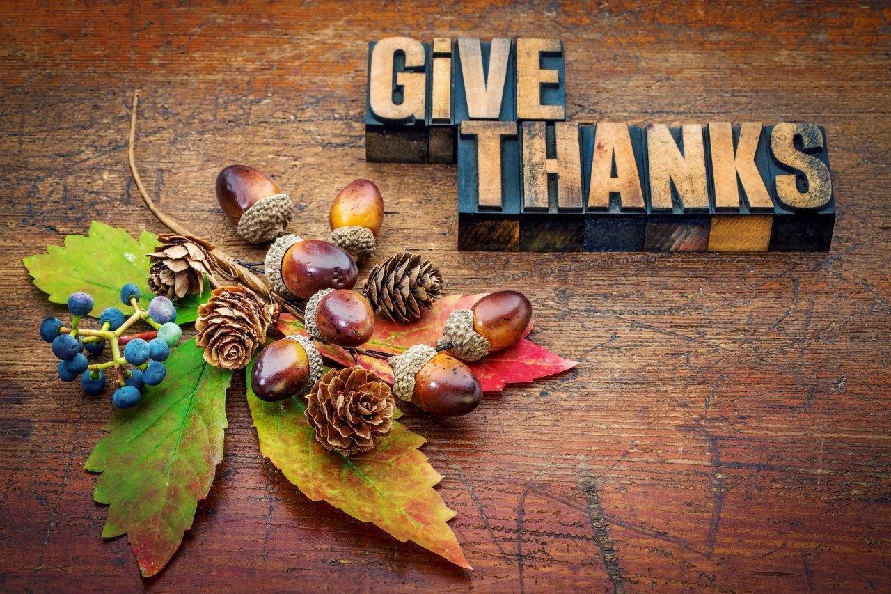 Happy Thanksgiving!