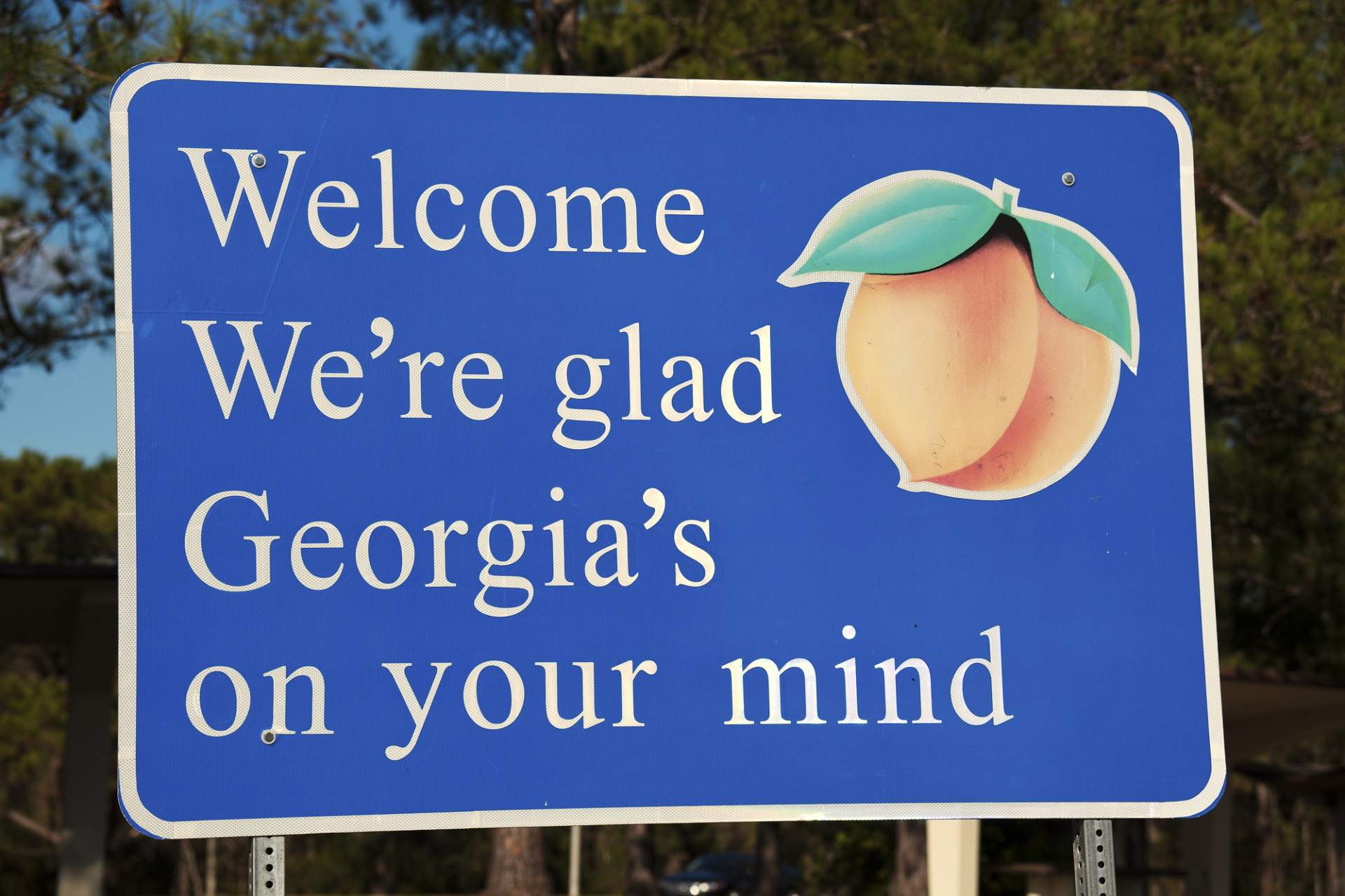 georgia peach state